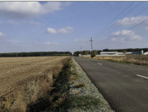 Teren extravilan Varvoru de Jos, jud Dolj