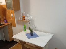 Închiriez garsonieră in Sibiu str. Stefan cel Mare