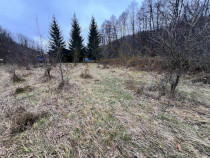 Teren intravilan 6.500 m&sup2;&ndash;Deschidere 144 ml drum european