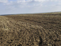 Teren extravilan Varvoru de Jos, jud Dolj