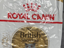 Royal Canin British Shorthair Adult 10 kg
