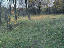 Teren intravilan 2.050 mp &ndash; Comuna Izvoarele, județul Pra