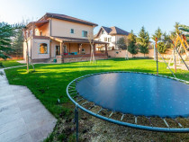 Vilă P+E+M cu 4 camere, 320 mp, Berceni/Ilfov