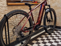 Vand bicicleta electrica Kross