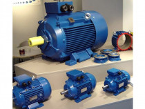 Motor Electric Trifazat 3000 RPM &ndash; Toate Modelele, Preturi Diferite