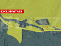 Teren intravilan 5542 mp, 2 CF-uri, Poiana Galdei