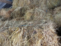 Baloți de f&acirc;n buni