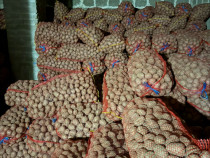 Cartofi săm&acirc;nță Bellaroza