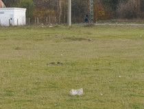 Teren Intravilan 700 mp Bartolomeu