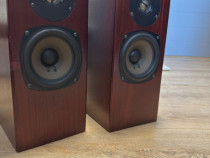 Boxe profesionale TOTEM ROKK