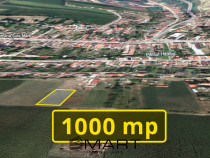 Teren extravilan 1000mp Sura Mare