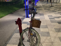 Bicicleta de oras