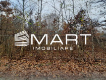 Teren intravilan 1330 mp | Tocile