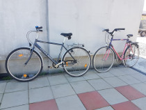 Biciclete adulti import Germania