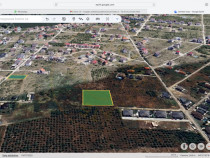 Teren 3600mp Mogosoaia - Oportunitate de investitie!