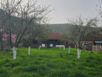 Casa + gradina in satul Ocișor, Comuna Vața de Jos, Jud. Hunedoara