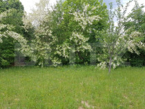 Teren intravilan de 1000 mp, priveliste superba, zona Predel