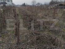 Teren intravilan 1811 mp, cu utilități, zona Malu Mare!