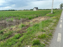 Teren intravilan ,4900 mp , 25ml front, Fratautii Vechi, Rad