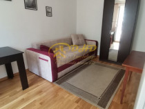 Apartament cu o camera in Podu Ros - Palas