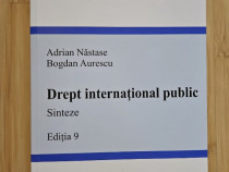 Drept Internațional Public