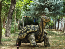 Broască țestoasă 3D gigant