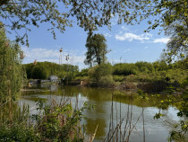 Teren 10000 mp Deschidere Lac Silistea Snagovului De Vanzare