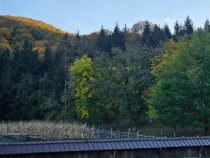 Casa lângă pădure. Targu Ocna, Bacau