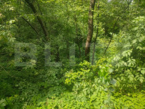 Teren intravilan, 5857 mp, Baltati, Horodnicu de Sus