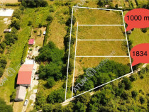 Teren intravilan de 1000 mp in Avrig zona Valea Avrigului
