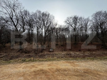 Teren intravilan de vanzare, 1872 mp, zona Valea Popii - Alb