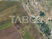 Teren extravilan de vanzare 4496 mp constructie cabana Guste