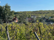 Casa batraneasca, locuibila, Podari, teren 1050 mp