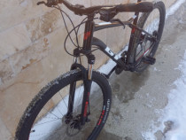 Bicicleta/MTB pe 29