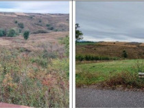 Teren extravilan pasune Ardeoani, ID: R2404613