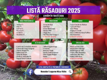 Rasad Rosii Ardei Vinete Castraveti Varza | Rasaduri Legume 2025