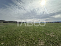 Teren 23.486 mp, deschidere 80 m, ideal comercial/industrial