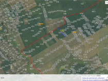 Teren intravilan 51000 mp - Oportunitate rara in Vasilati, C