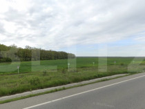 Teren extravilan, 8,7 ha, deschidere E79, zona Podari
