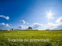 Teren 500 mp zona Lacu Sarat 41m front stradal