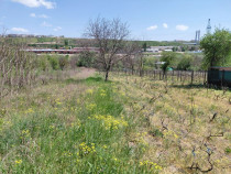 Teren intravilan 3.250 mp &icirc;n Filești &ndash; Ideal pentru c...