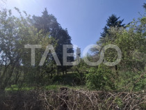 Teren intravilan de vanzare 2700 mp Slimnic Sibiu