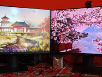 Set 2 Monitoare Dell P2419H, 23.8" Full HD - Stare Foarte Bună