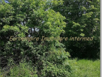 Teren intravilan construibil Lazu Centru