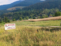 Teren intravilan Vaduri Neamț 3286mp