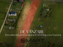 Teren Intravilan 10000 mp, deschidere str. Nicolae Labis - z