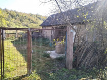 Teren 6000mp Julita, Arad