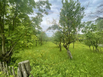 Teren intravilan Sotrile 6762 mp &ndash; Investitie, camping, ag