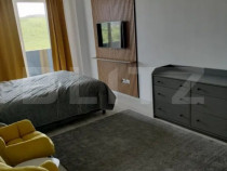 Apartament 1 camera, moderm, parare, zona Someseni