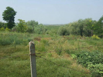 CASLITA- TEREN 1629 MP, IESIRE LA BALTA CASLA